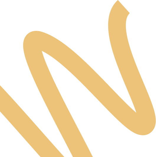 vector